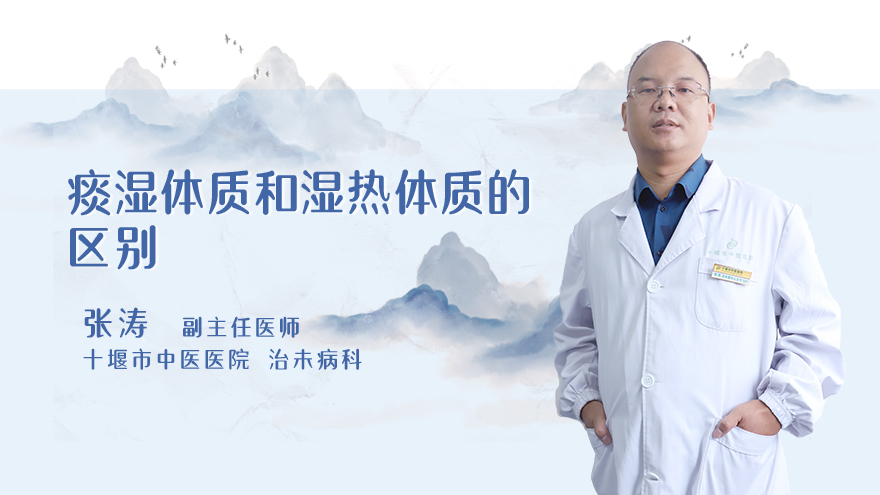 痰湿体质和湿热体质的区别