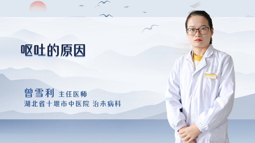 呕吐的原因？