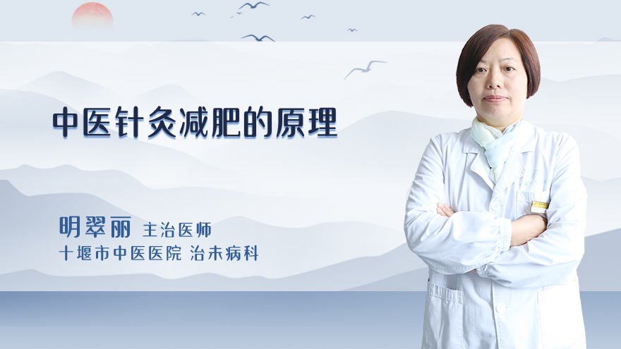中医针灸减肥的原理
