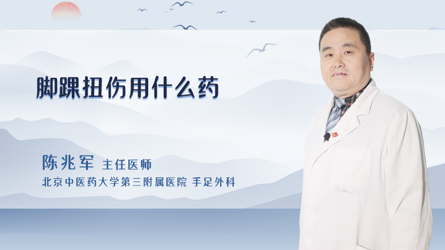 脚踝扭伤用什么药
