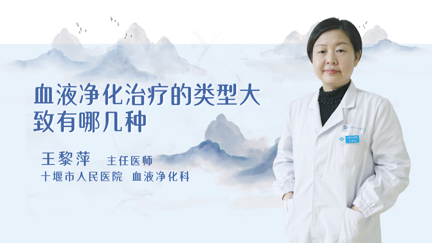 血液净化治疗的类型大致有哪几种