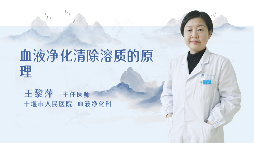 血液净化清除溶质的原理