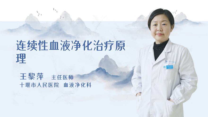 连续性血液净化治疗原理