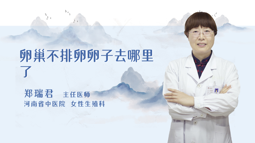 卵巢不排卵卵子去哪里了