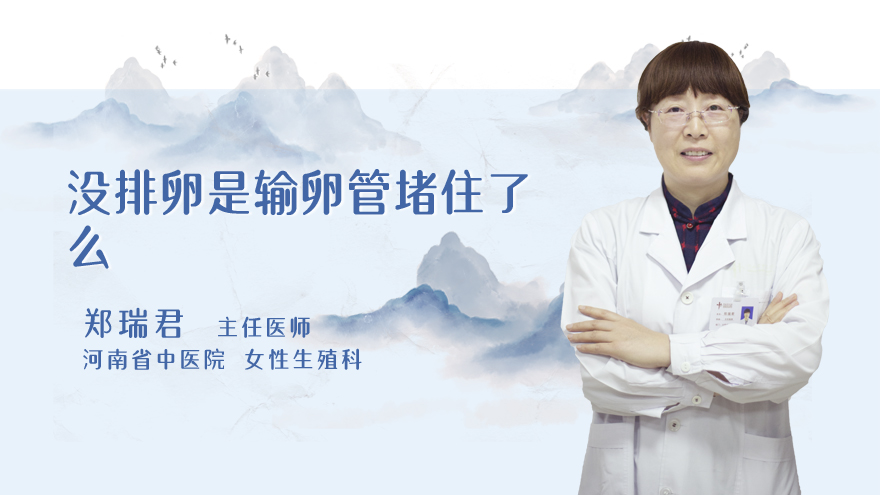 没排卵是输卵管堵住了么