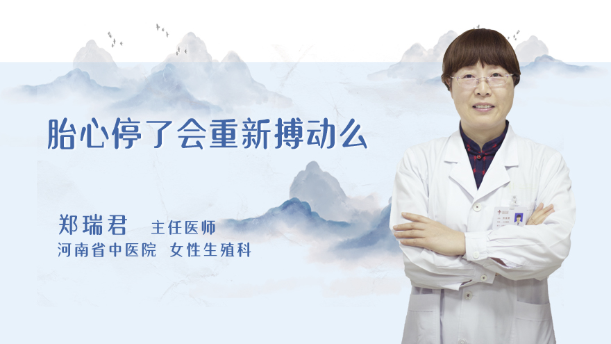 胎心停了会重新搏动么