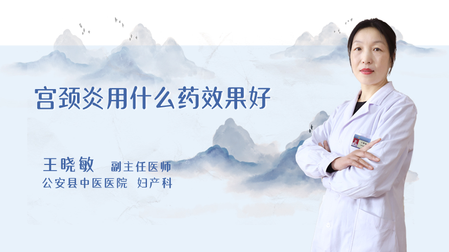 宫颈炎用什么药效果好