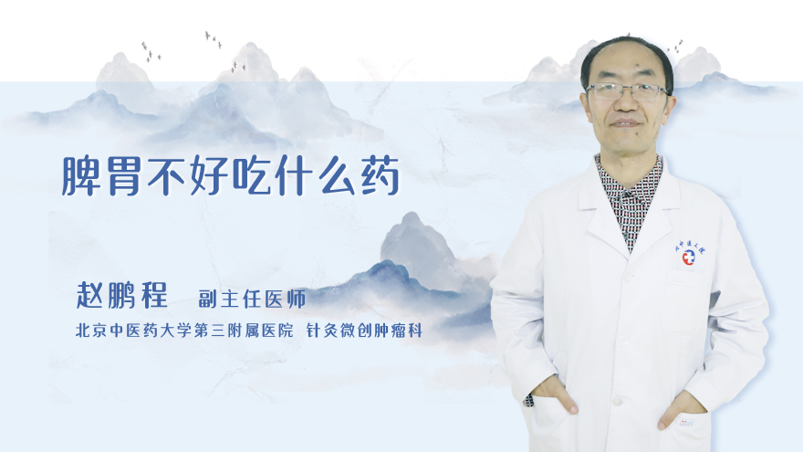 脾胃不好吃什么药