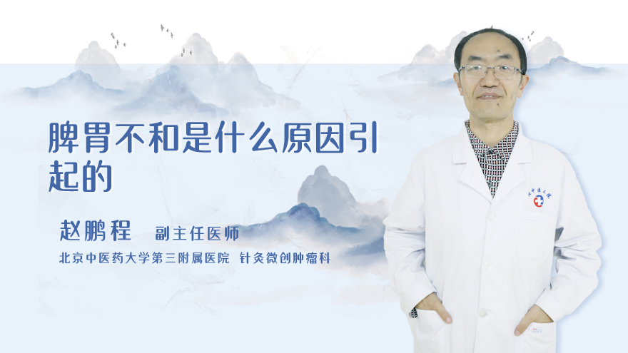 脾胃不和是什么原因引起的