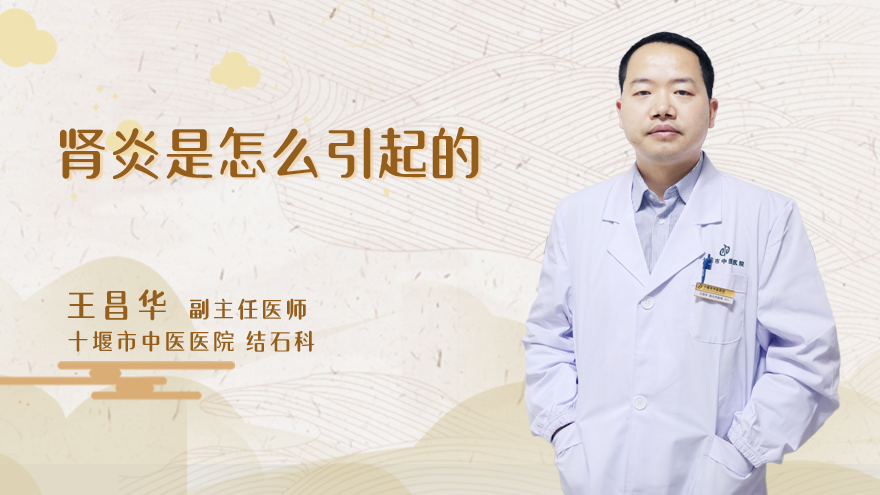 肾炎是怎么引起的