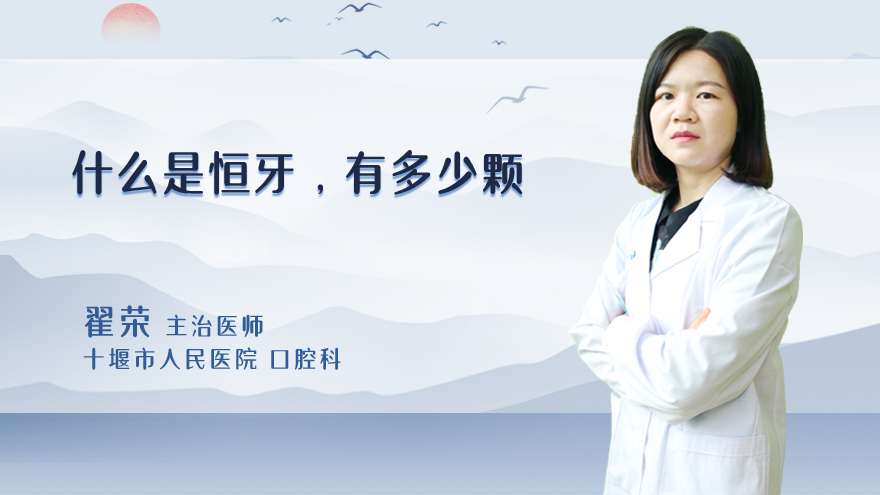 什么是恒牙?有多少颗?