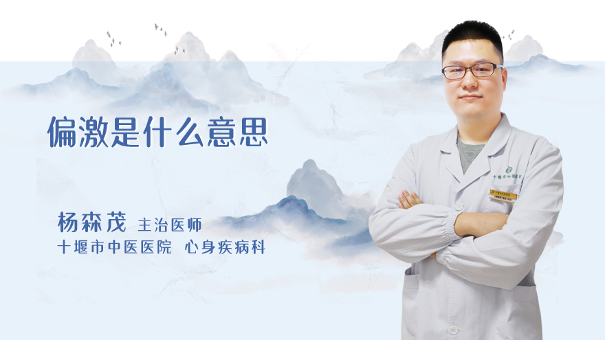 偏激是什么意思