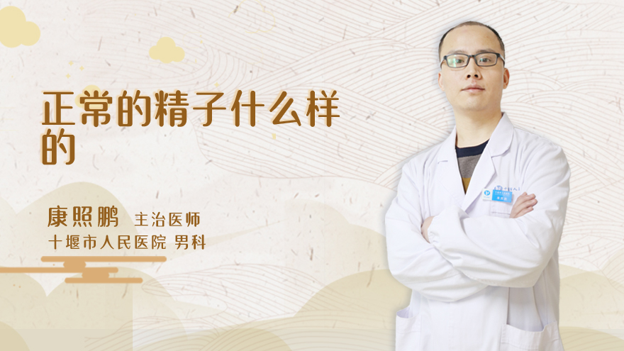 正常的精子什么样的