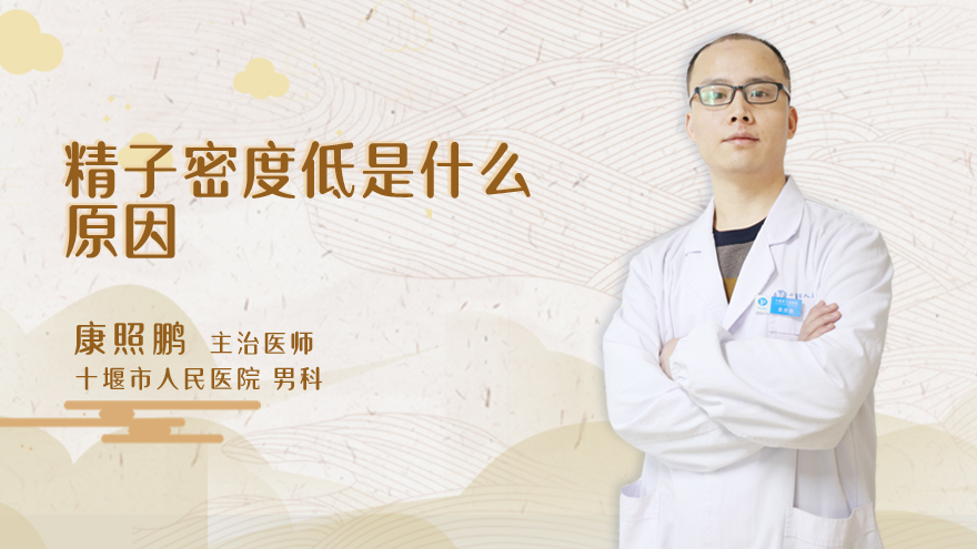 精子密度低是什么原因