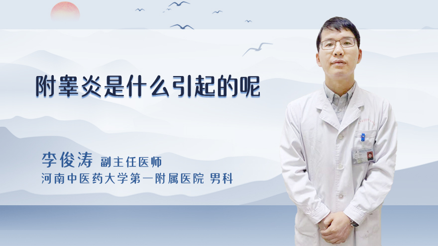 附睾炎是什么引起的呢