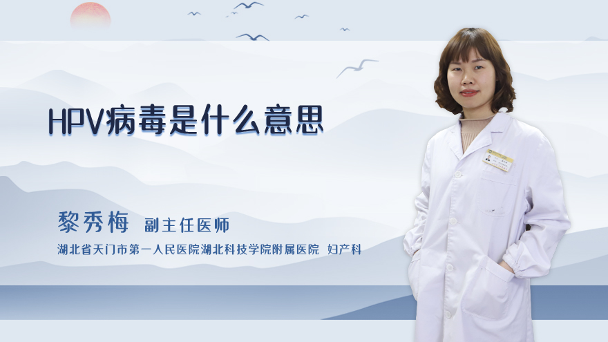 hpv病毒是什么意思