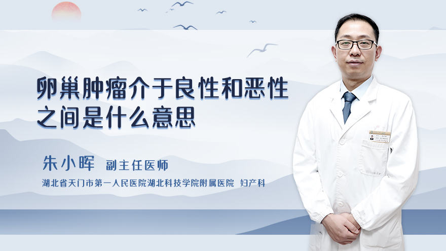 卵巢肿瘤介于良性和恶性之间是什么意思