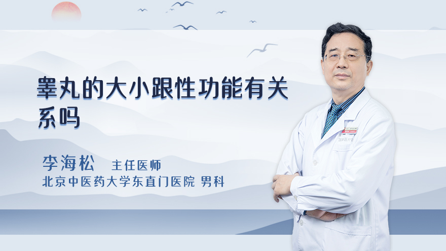 睾丸的大小跟性功能有关系吗