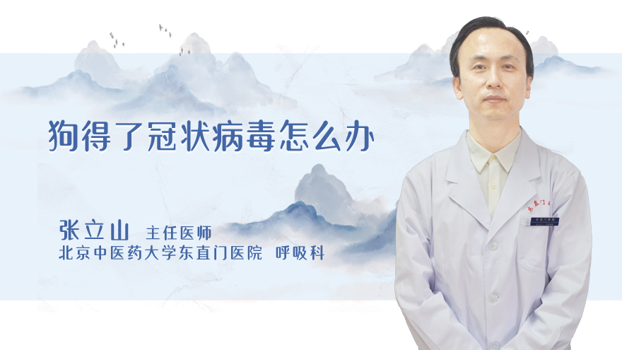 狗得了冠状病毒怎么办