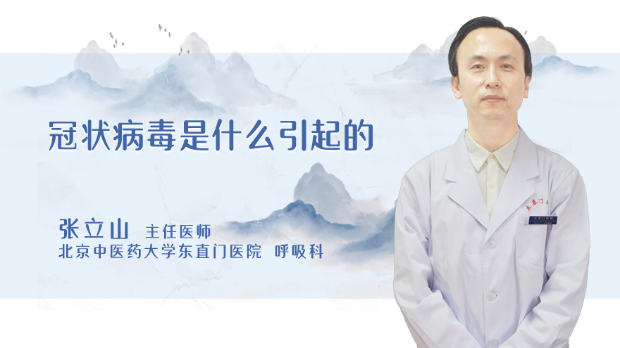冠状病毒是什么引起的