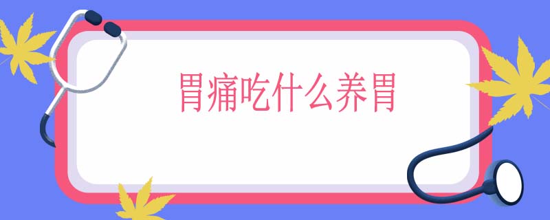 胃痛吃什么养胃