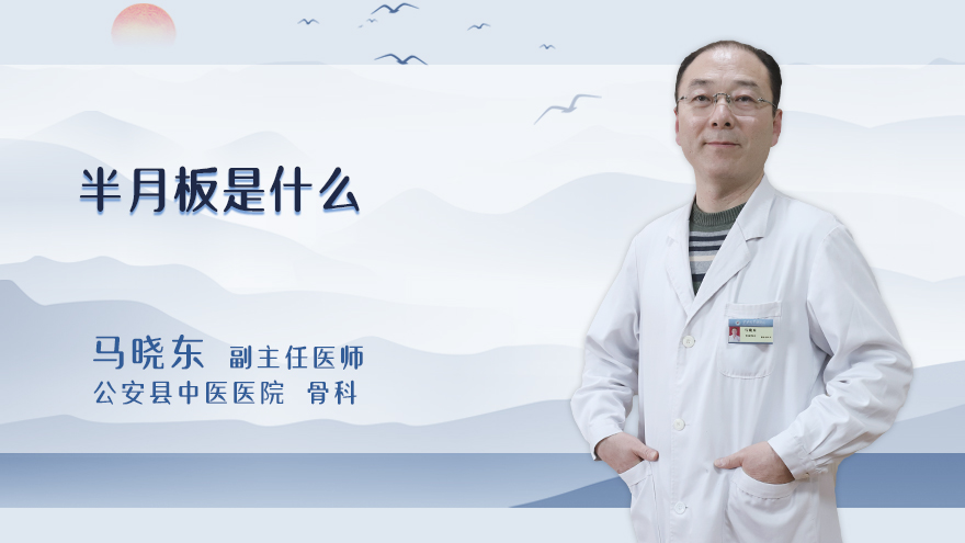 半月板是什么