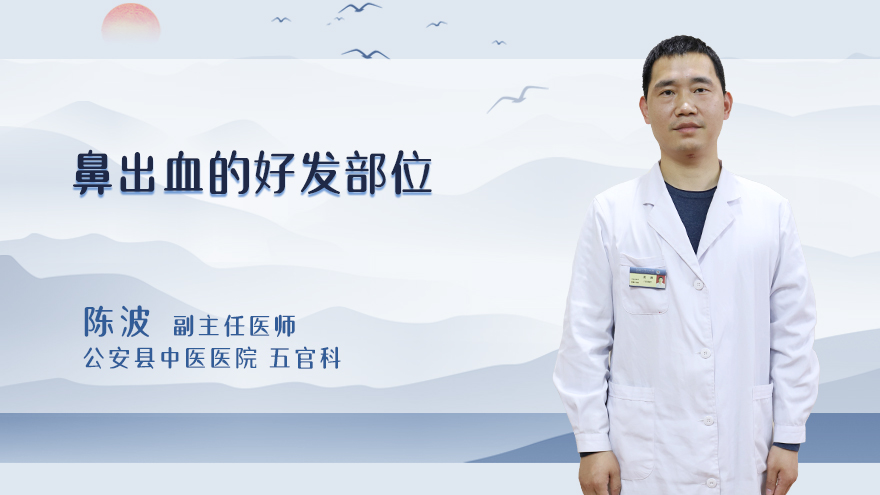 鼻出血的好发部位
