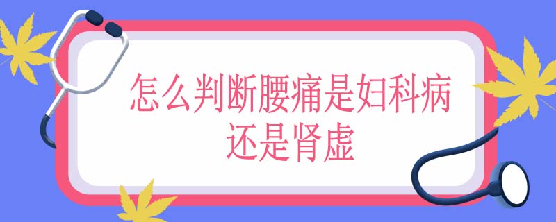 怎么判断腰痛是妇科病还是肾虚