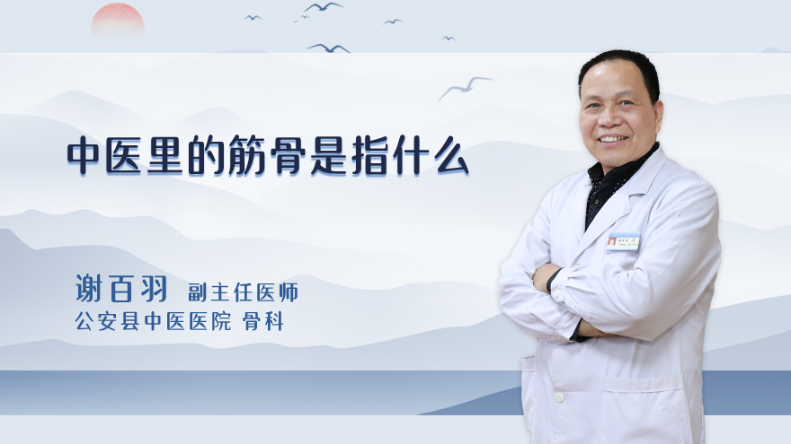 中医里的筋骨是指什么