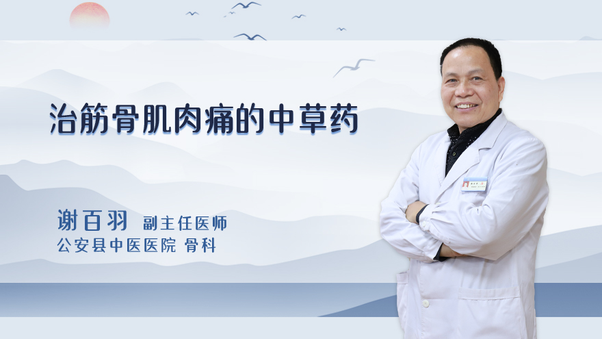 治筋骨肌肉痛的中草药