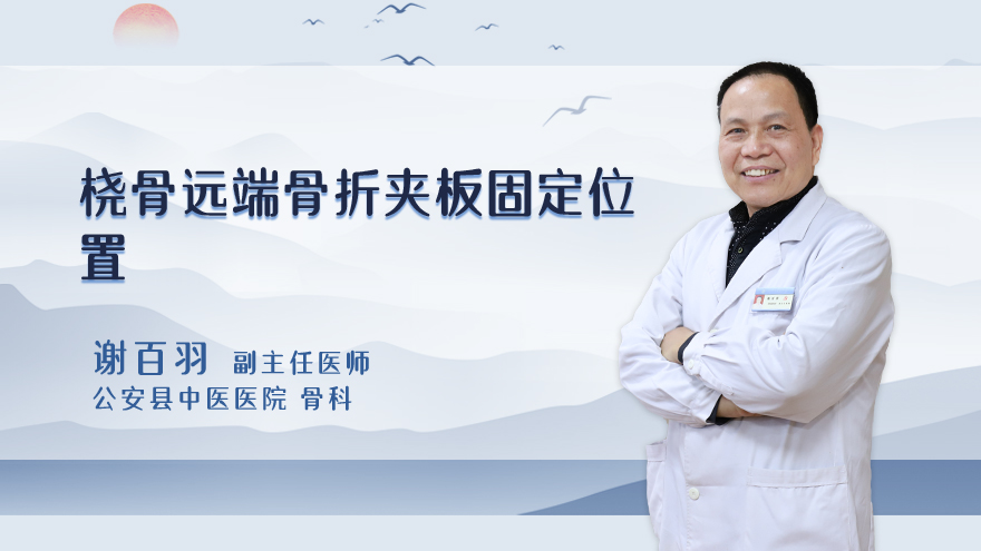 桡骨远端骨折夹板固定位置