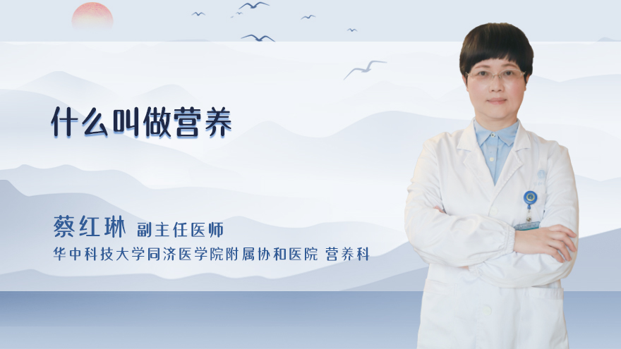 什么叫做营养