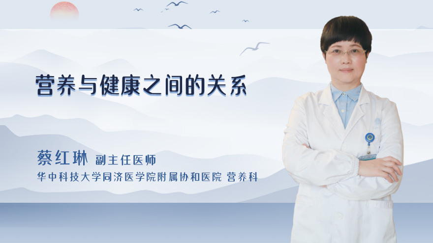 营养与健康之间的关系