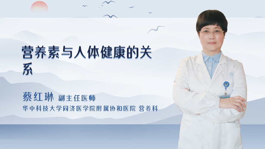 营养素与人体健康的关系