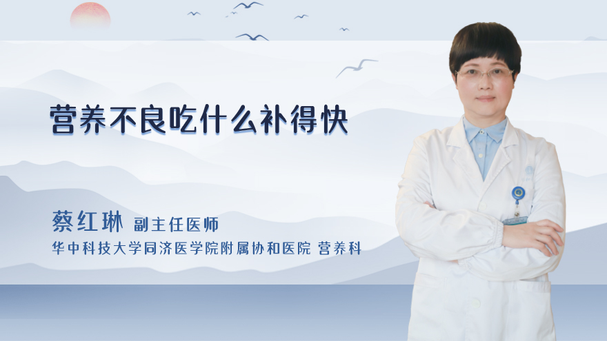 营养不良吃什么补得快