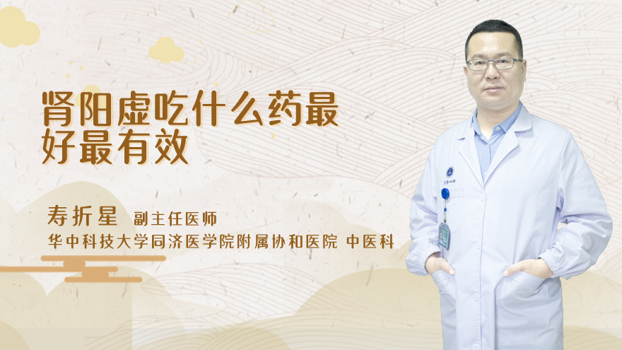 肾阳虚吃什么药最好最有效