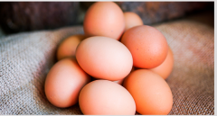 吃鸡蛋减肥正确吃法，鸡蛋只吃蛋白能减肥吗
