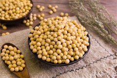 孕期血糖高可以喝豆浆吗，孕期血糖高可以喝纯牛奶吗