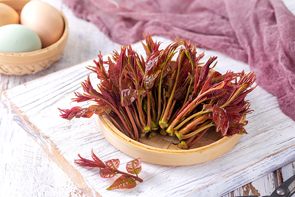 香椿芽怎么吃 香椿芽的3种营养食谱 中药大全