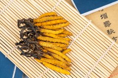 虫草泡水喝怎么泡最好，三种冬虫夏草的养生茶配方