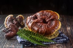 灵芝孢子粉怎么吃效果最好，灵芝孢子粉什么时候吃最好