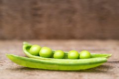 野豌豆的功效与作用，野豌豆能吃吗