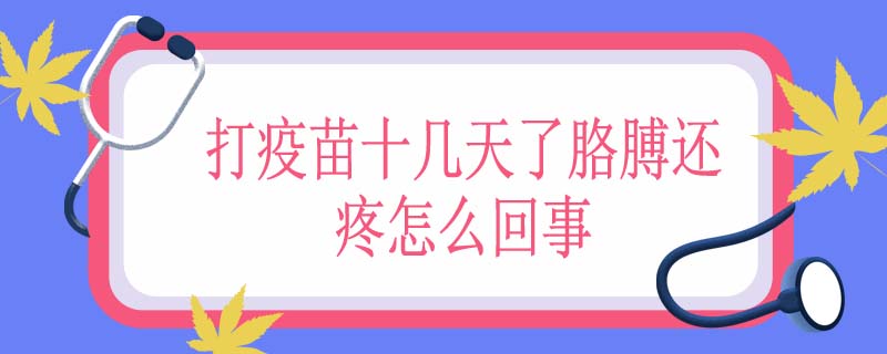 打疫苗十几天了胳膊还疼怎么回事