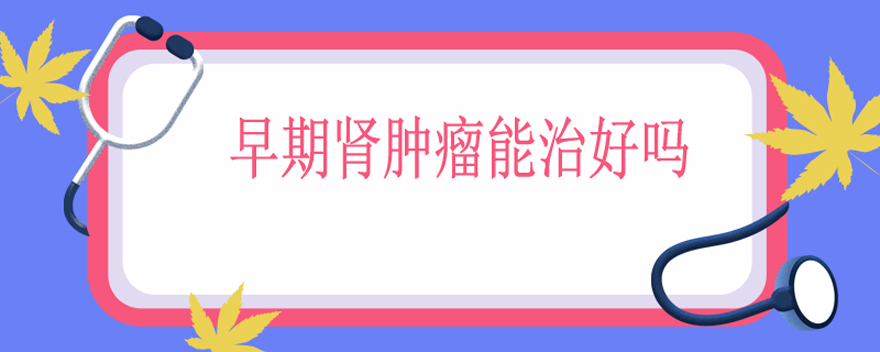 早期肾肿瘤能治好吗