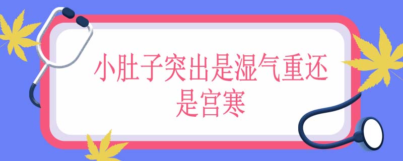 小肚子突出是湿气重还是宫寒