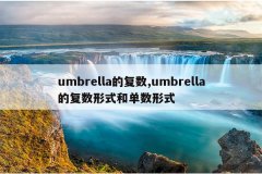 umbrella的复数,umbrella的复数形式和单数形式