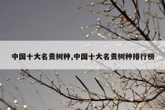 <b>中国十大名贵树种,中国十大名贵树种排行榜</b>